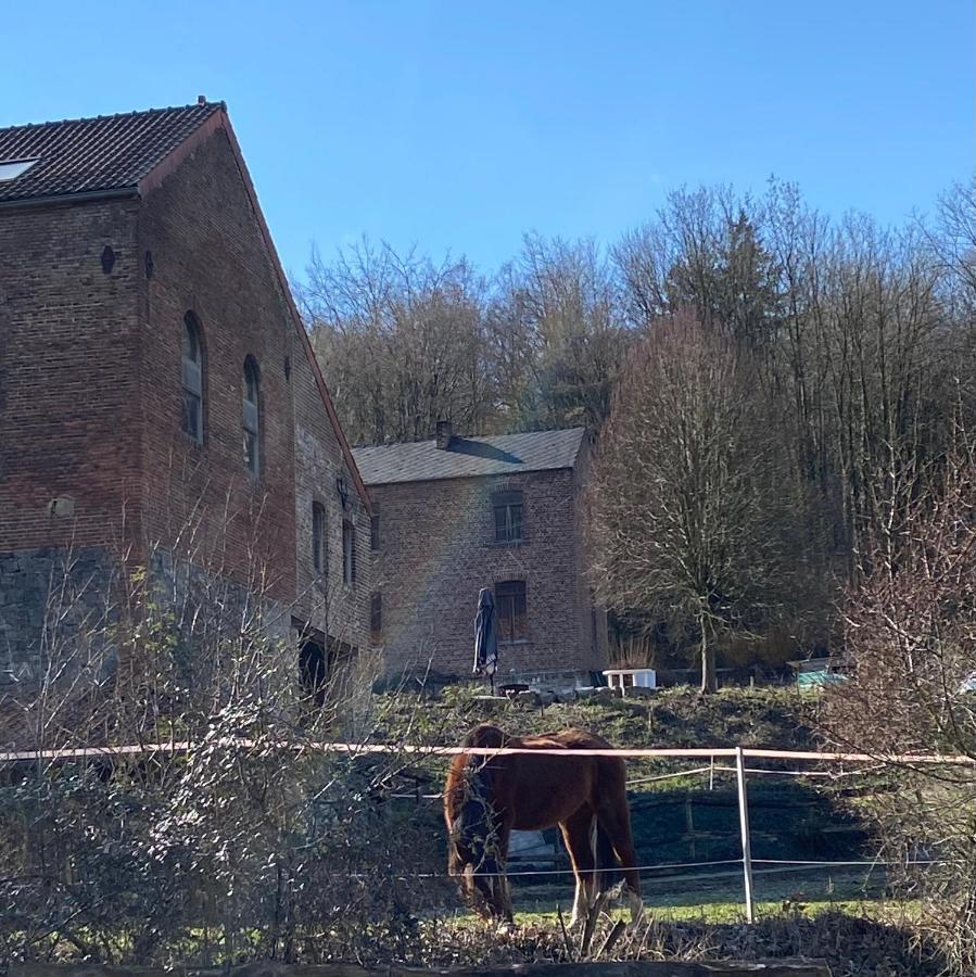 Le Ranch Des Aguesses Villa Andenne Exterior photo