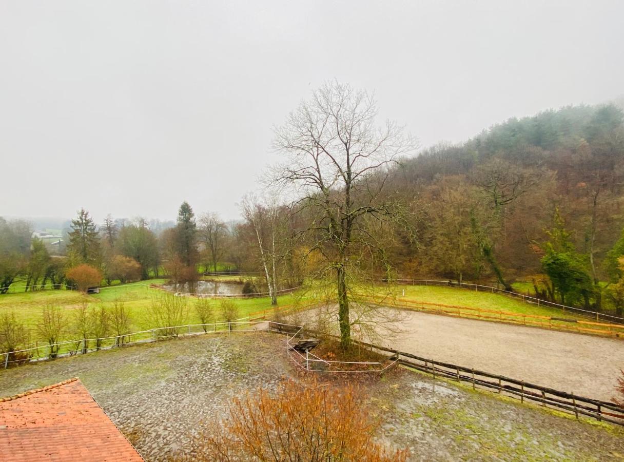 Le Ranch Des Aguesses Villa Andenne Exterior photo